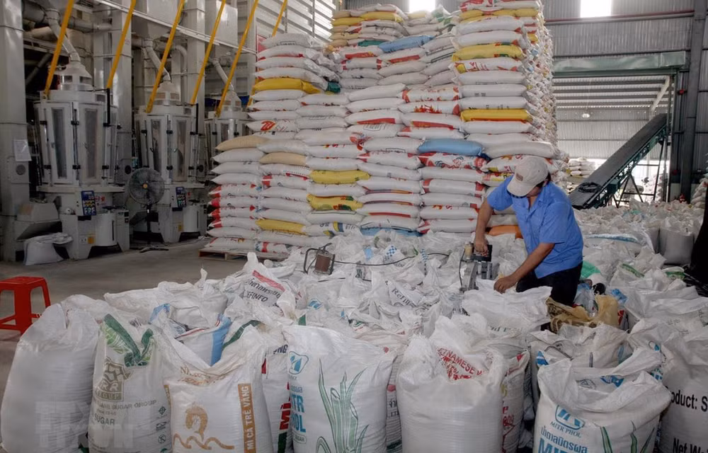 Registra Vietnam reducción de ingresos por exportaciones de arroz ảnh 1 Registra Vietnam reducción de ingresos por exportaciones de arroz ảnh 1