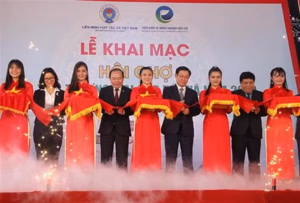 Cooperación internacional, clave para el desarrollo sostenible de las cooperativas de Vietnam ảnh 1