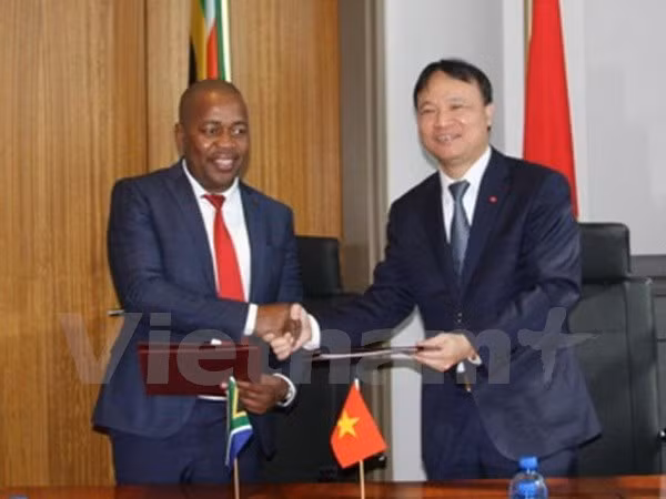 Vietnam y Sudáfrica apuntan elevar trasiego mercantil a tres mil millones de USD ảnh 1