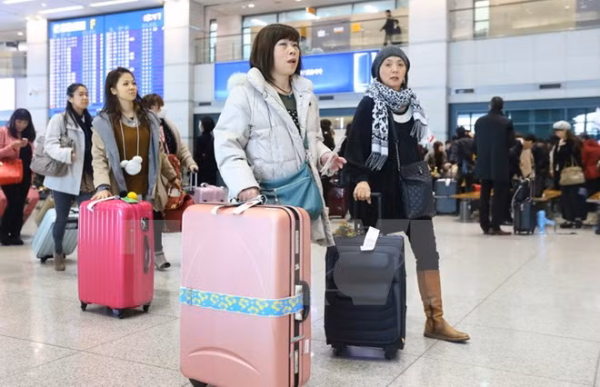 Vietnam, cuarto mayor receptor de visados para viajar a Japón ảnh 1