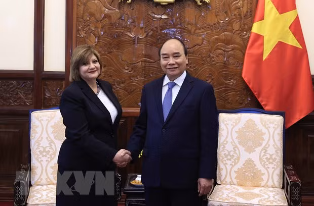 Presidente de Vietnam recibe a nuevos embajadores de Belarús y Egipto ảnh 2