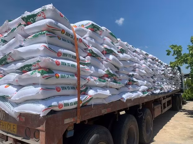 Ganancias de PetroVietnam Camau Fertilizer aumentan 10 veces en el primer trimestre ảnh 1