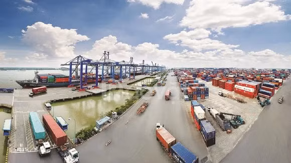 Crece intercambio comercial entre Ciudad Ho Chi Minh y Argentina ảnh 1