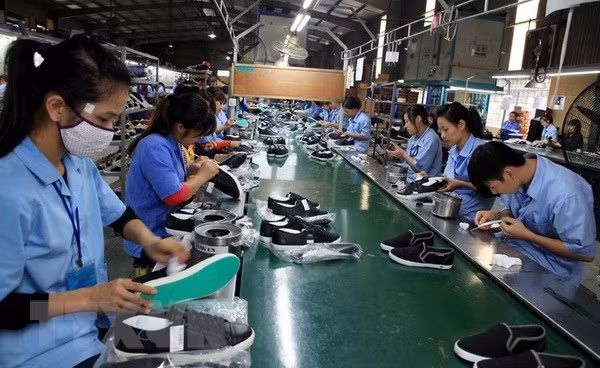Vietnam por continuar restaurando producción, negocios y exportaciones ảnh 1