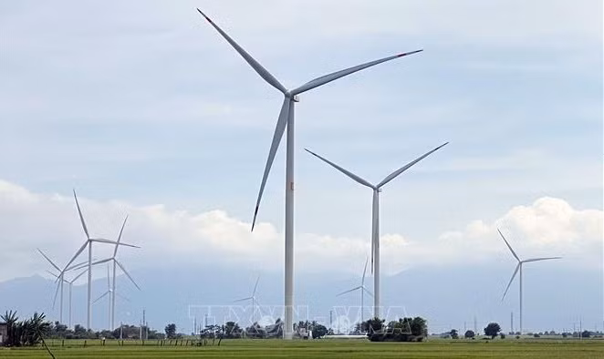 Vietnam se esfuerza por aumentar estructura de energías renovables ảnh 1