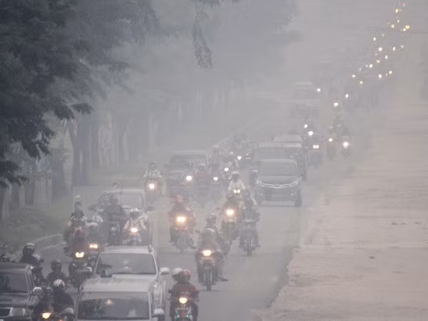 Malasia exhorta solución indonesia para fenómeno “esmog” ảnh 1
