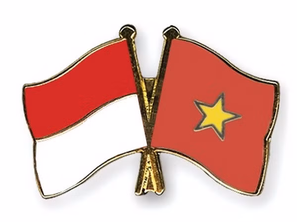 Elevan Vietnam e Indonesia intercambio comercial ảnh 1