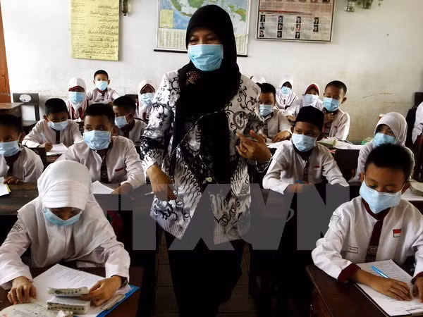 Coopera Indonesia con otros países para resolver desastre neblina ảnh 1