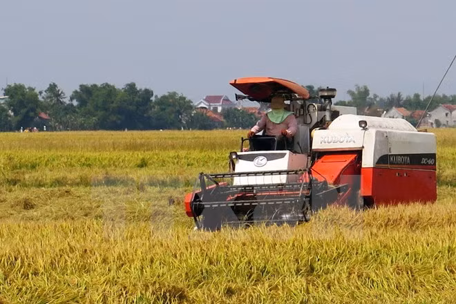 TPP, palanca económica para desarrollo agrícola ảnh 1