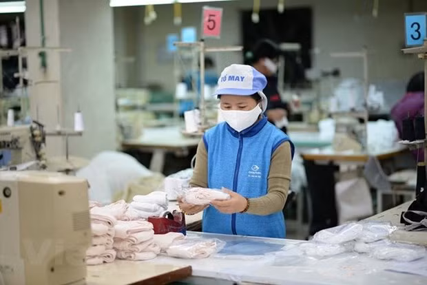 Compañías vietnamitas responden a la demanda interna de mascarillas sanitarias ảnh 1