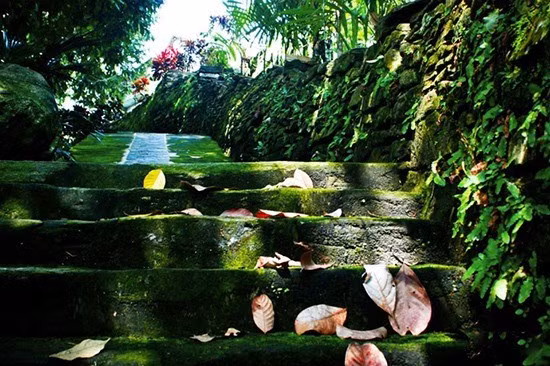 Desarrollan ecoturismo en la antigua aldea de Loc Yen ảnh 1