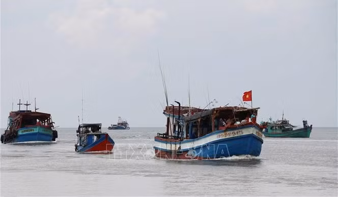 Vietnam busca solución más eficaz para el levantamiento de la “tarjeta amarilla” ảnh 1 Vietnam busca solución más eficaz para el levantamiento de la “tarjeta amarilla” ảnh 1