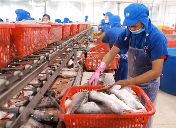 Pronostican excelentes oportunidades de inversión en Vietnam ảnh 1