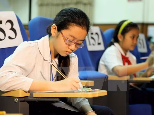 Vietnam encabeza Sudeste Asiático en resultados de enseñanza primaria ảnh 1 Vietnam encabeza Sudeste Asiático en resultados de enseñanza primaria ảnh 1