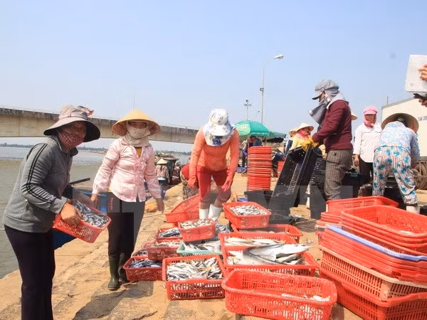 Quang Tri dedica esfuerzos por estabilizar la vida de pescadores locales ảnh 1