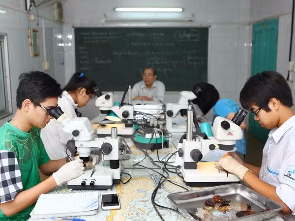 Olimpiada internacional de Biología se efectúa en Vietnam ảnh 1 Olimpiada internacional de Biología se efectúa en Vietnam ảnh 1