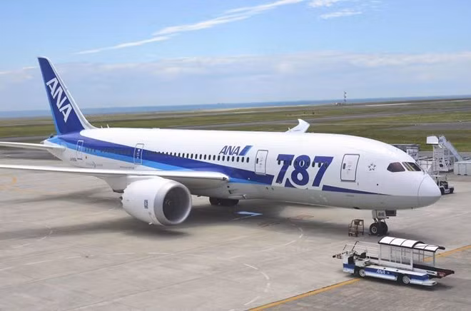 Aumenta frecuencia de ruta entre Narita y Ciudad Ho Chi Minh ảnh 1