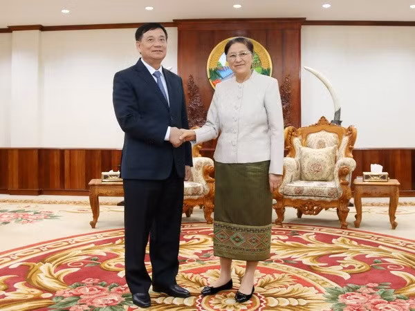 Impulsan cooperación parlamentaria entre Vietnam y Laos ảnh 1