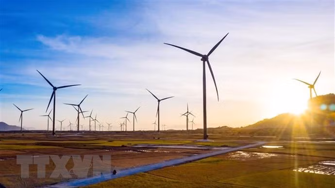 Vietnam necesita 14 mil millones de dólares para desarrollo de energías renovables ảnh 1