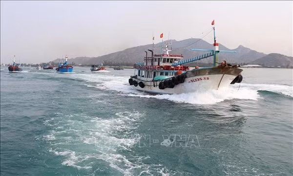 Provincia vietnamita de Ninh Thuan impulsa combate contra pesca ilegal ảnh 1 Provincia vietnamita de Ninh Thuan impulsa combate contra pesca ilegal ảnh 1