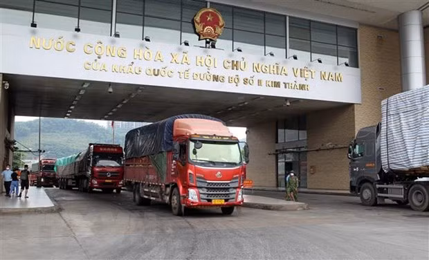 Actualizan a empresas vietnamitas trámite de exportación de almidón a China ảnh 1 Actualizan a empresas vietnamitas trámite de exportación de almidón a China ảnh 1