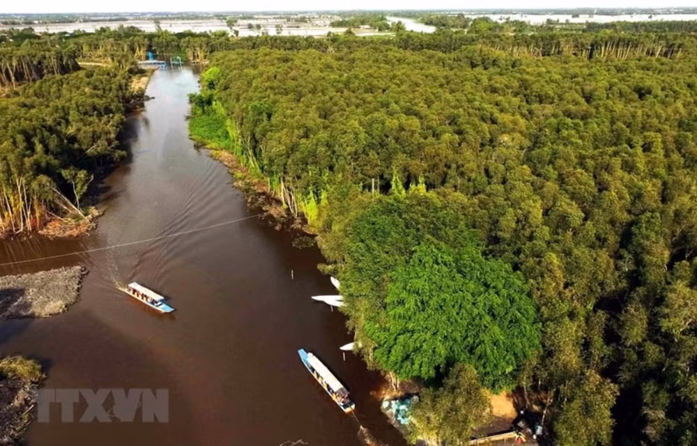 📝 Enfoque: Vietnam persigue camino "verde" por un futuro sostenible ảnh 3