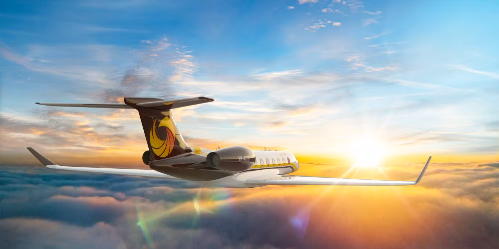 Lanzan en Vietnam primera aerolínea de lujo Sun Air ảnh 3