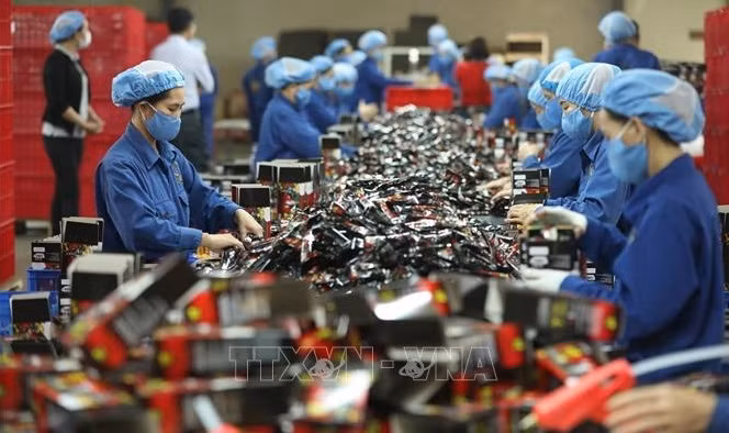 Inversores extranjeros prestan atención a la fuerza laboral de Vietnam ảnh 1