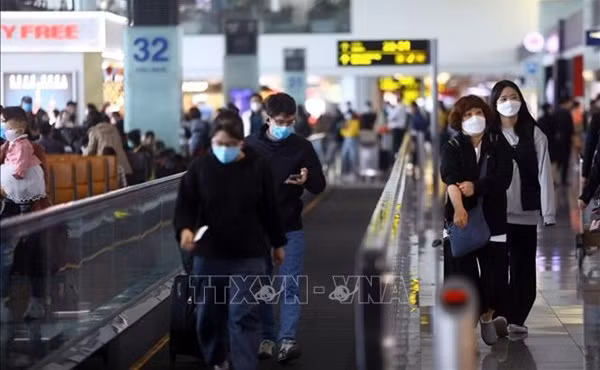 Aumentan en Vietnam tasa de ocupación en vuelos internacionales ảnh 1