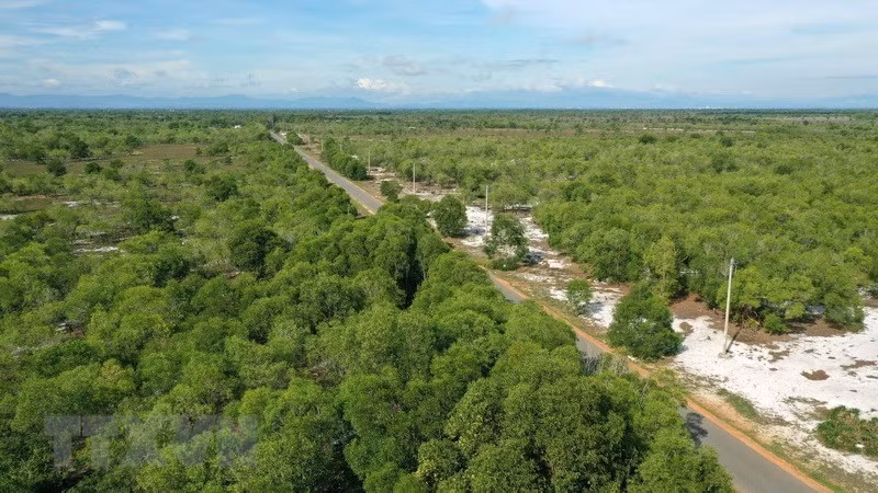 BAD brinda asistencia millonaria para desarrollo forestal sostenible en Sudeste Asiático ảnh 1