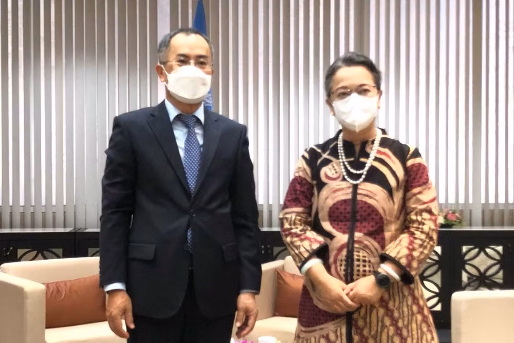 Comisión de la ONU otorga importancia a las relaciones con Vietnam ảnh 3