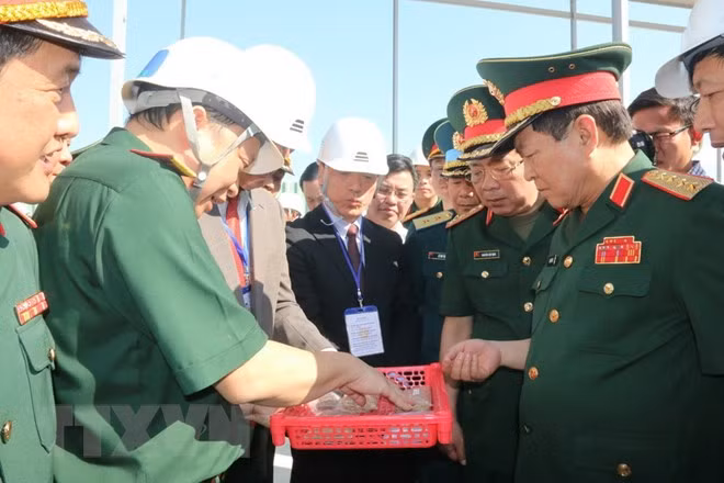 Vietnam supervisa descontaminación de dioxina en aeropuerto Bien Hoa ảnh 1