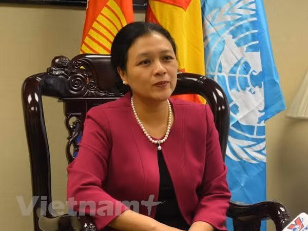 Vietnam consolidará la diplomacia del pueblo ảnh 1