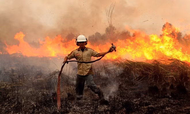 Alto riesgo de incendios forestales en Indonesia ảnh 1