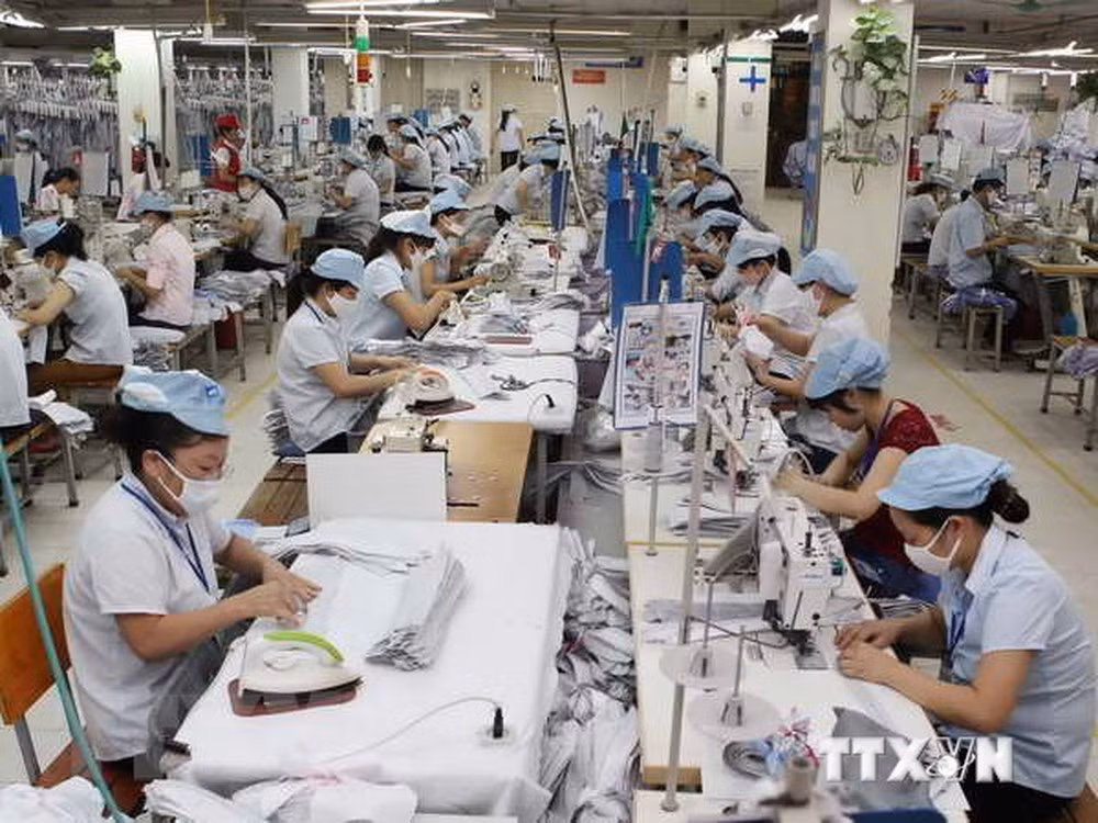Accesorios de Phuoc Dat: favoritos de los exportadores de prendas de vestir ảnh 1 Accesorios de Phuoc Dat: favoritos de los exportadores de prendas de vestir ảnh 1