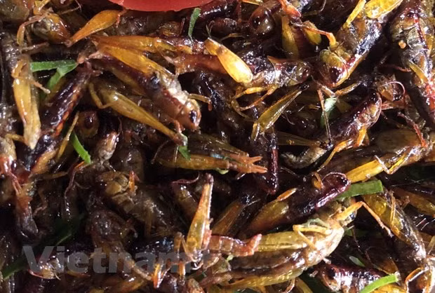 Especialidades culinarias de etnia Thai impresionan a visitantes en Muong Lo ảnh 2 Especialidades culinarias de etnia Thai impresionan a visitantes en Muong Lo ảnh 2