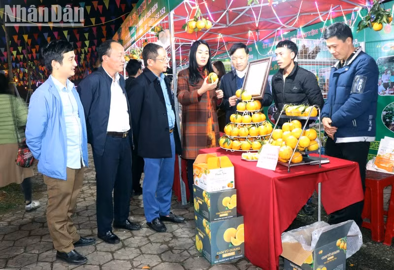 Celebran en ciudad vietnamita festival de productos agrícolas ảnh 1