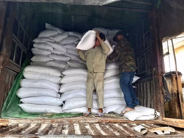 Suministran arroz para siete localidades vietnamitas con motivo del Tet ảnh 1
