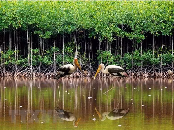 Vietnam por protección y uso sostenible de los humedales ảnh 2