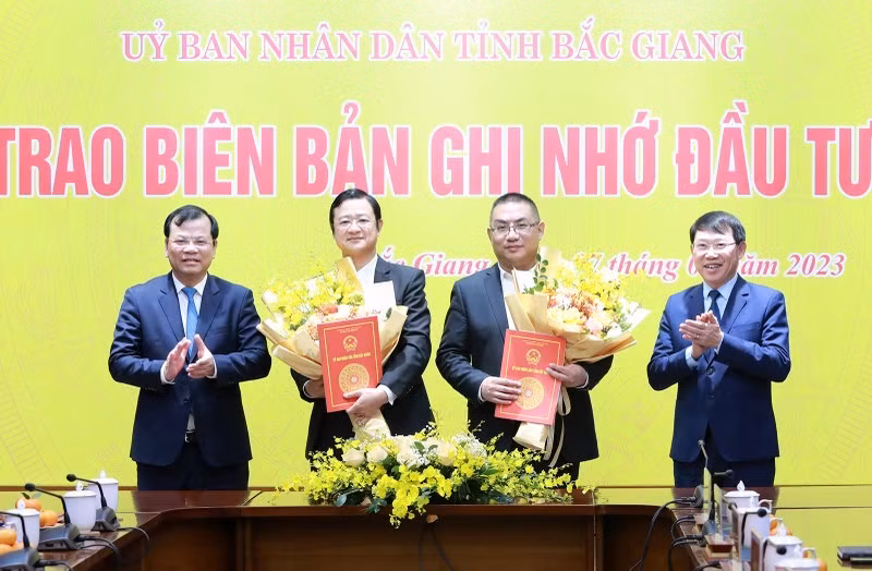 Grupo chino coloca cien millones de dólares en Vietnam ảnh 1