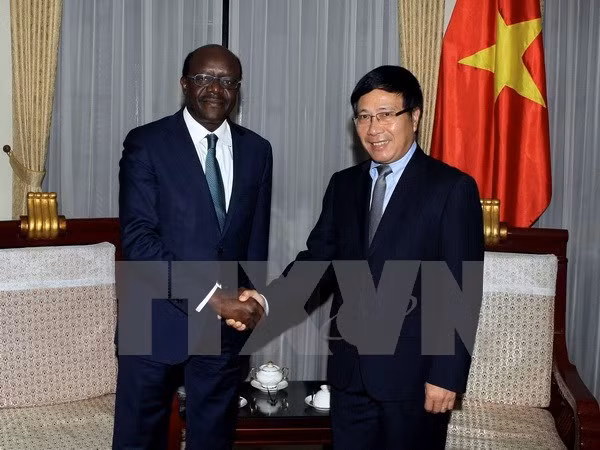 Medio Oriente - África, mercado potencial para empresas vietnamitas ảnh 1