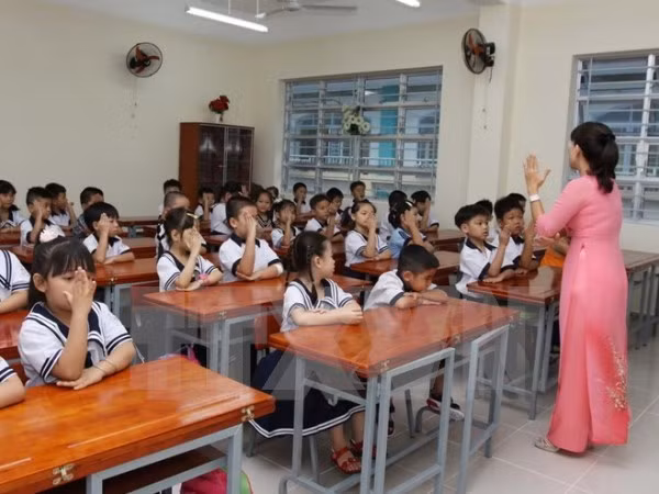 Opinión pública respalda nuevo proyecto de educación general ảnh 1