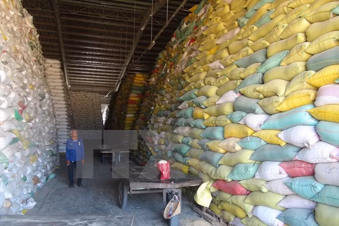 Determina Indonesia importar arroz de Vietnam y Tailandia ảnh 1