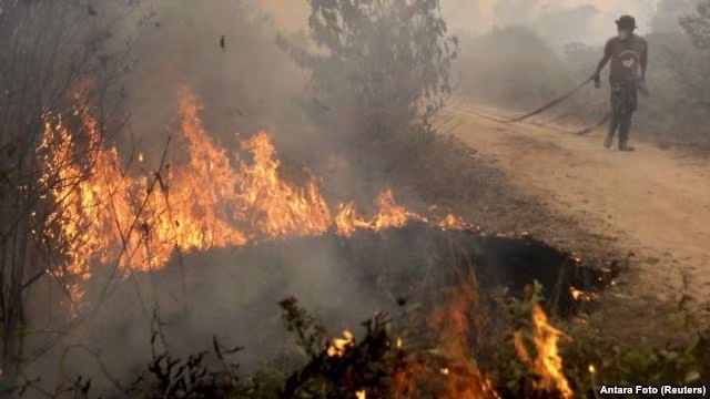 Contaminación atmosférica en Indonesia se expande a Filipinas ảnh 1 Contaminación atmosférica en Indonesia se expande a Filipinas ảnh 1