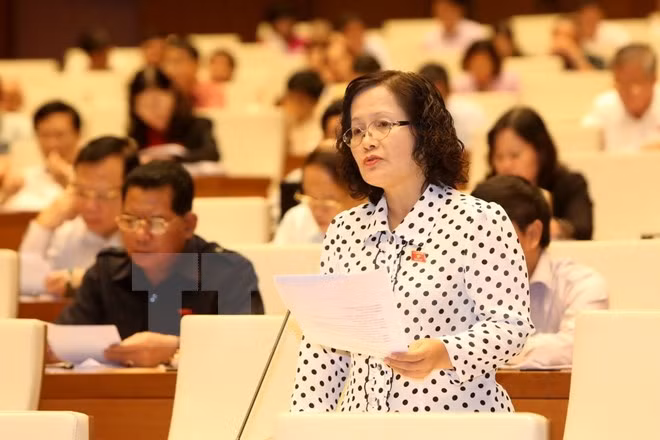  Analiza Parlamento vietnamita proyecto del Código Civil ảnh 1