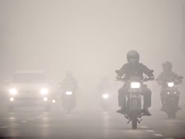  Divulga Indonesia nombre de involucrados a incendios forestales ảnh 1