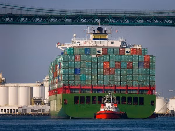 Vietnam advierte sobre amenazas de piratería marítima ảnh 1 Vietnam advierte sobre amenazas de piratería marítima ảnh 1