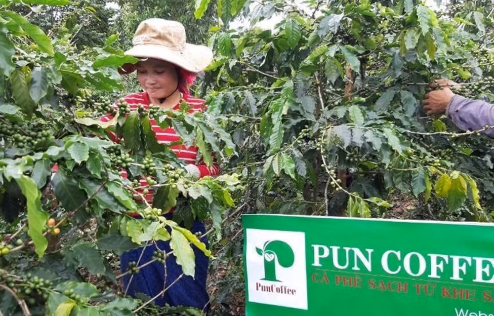 Empresas vietnamitas promueven actividades de producción y negocios en contexto de COVID-19 ảnh 1