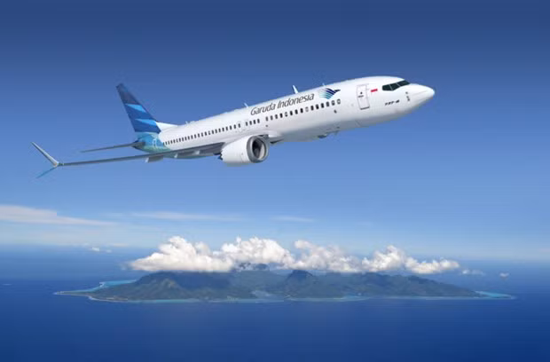 Sector de aviación de Indonesia registrará recuperación más rápida de lo previsto ảnh 1