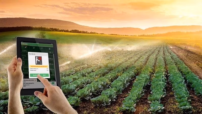 Vietnam promueve aplicación de tecnología para agricultura sostenible ảnh 1
